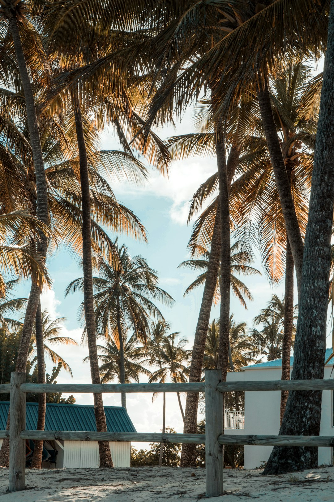 a-white-building-surrounded-by-palm-trees-on-a-beach-ncba3v1o0bm