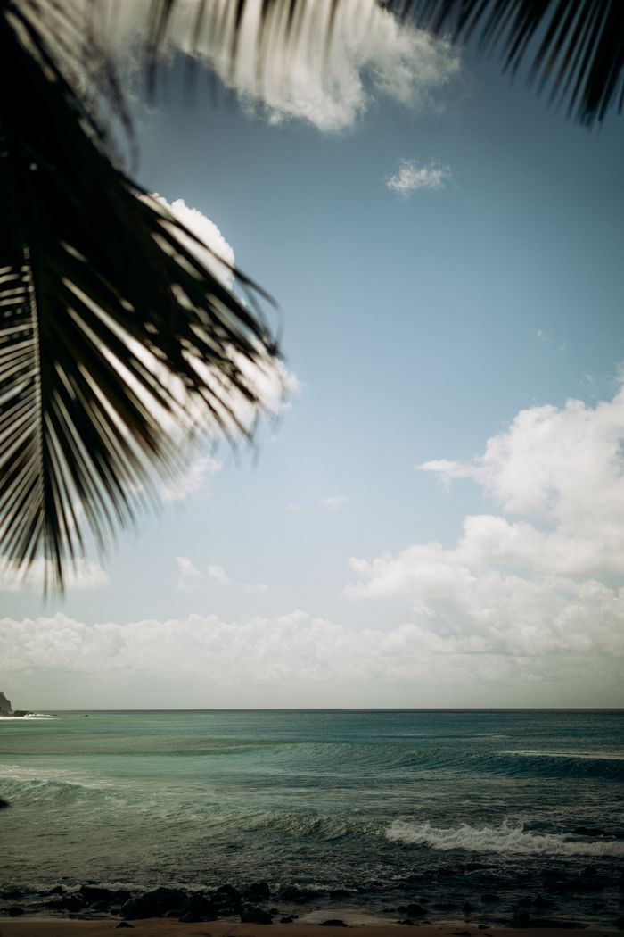Peaceful tropical beach scene with palm leaves, ocean, and sky in Pernambuco, Brazil.